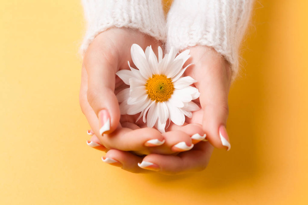 Slender young hands hold flowers, with a thin wrist, clean skin and French manicure. Flat lay photo, with place for text. - 写真・画像