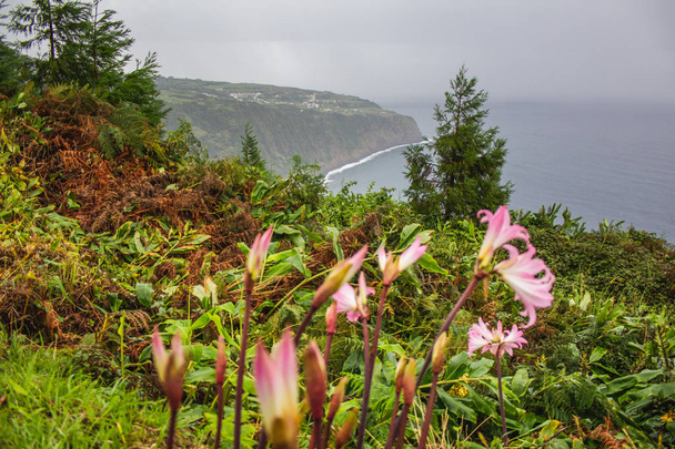 beautiful view of eastern coast of Sao Miguel island, Azores, Portugal - Photo, Image