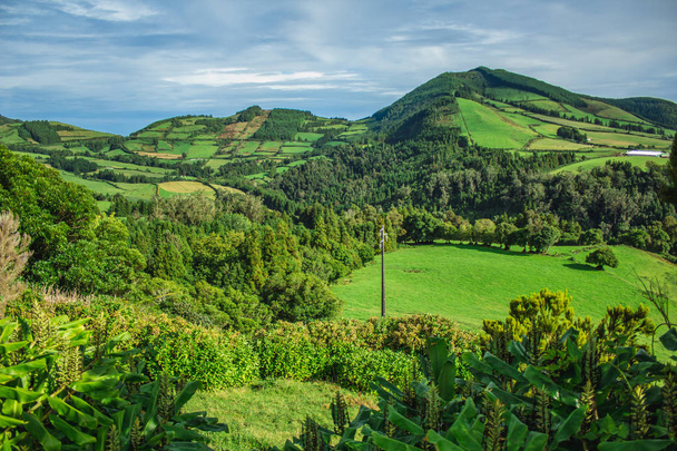 красивый зеленый дикий пейзаж на острове Сан-Мигель, Азорские острова, Португалия
 - Фото, изображение
