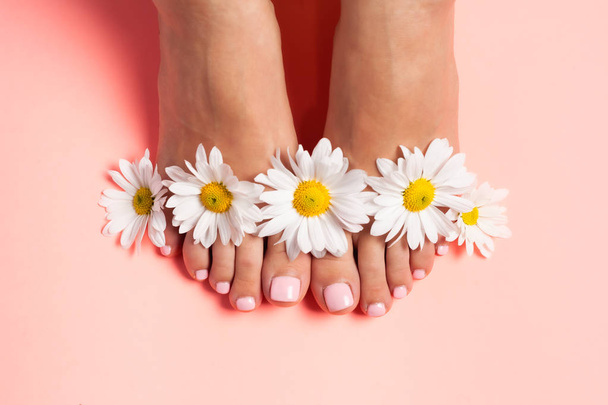 Nohy dívky v květinových pupenech sedmikrásek, růžová pedikúra na růžovém pozadí. Pohled shora s místem pro text. - Fotografie, Obrázek