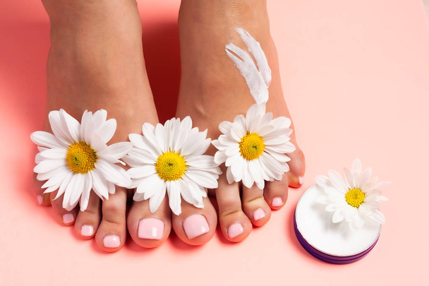 Perfekte, gepflegte Füße mit natürlicher Kräutercreme. Liebe einen Fuß. schöne Blumen auf rosa Hintergrund. Pflege für saubere, weiche und glatte Haut am Fuß. frische Blumen. - Foto, Bild