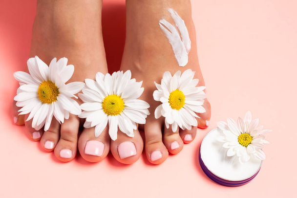 Woman's perfect, groomed feet with of natural herbal cream. Love a feet. Beautiful flowers on pink background. Care about clean, soft and smooth skin on foot. Fresh flowers. - Fotografie, Obrázek