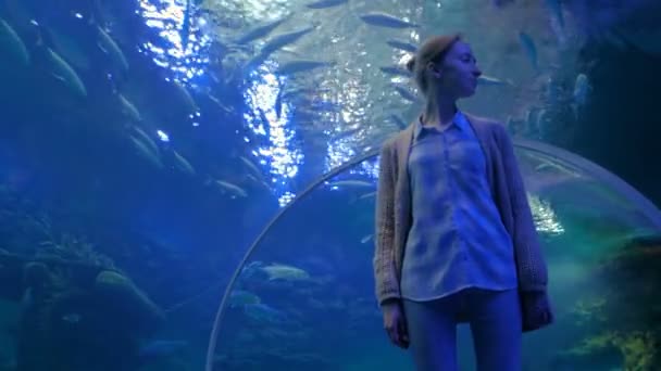 Жінка дивиться на вихор риби у великому акваріумі в океанаріумі. - Кадри, відео