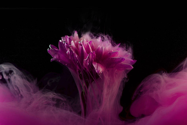 Flower under water and Splashes of colored ink, bright colors - Фото, зображення