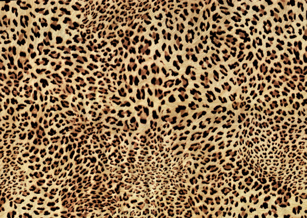 абстрактний дизайн текстури хутра леопарда
 - Фото, зображення