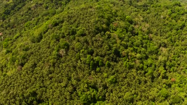 Tropikalny krajobraz z lasem deszczowym. Camiguin, Filipiny - Materiał filmowy, wideo