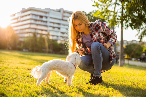 Woman scolding her Maltese dog while they spending time in the park. - 写真・画像