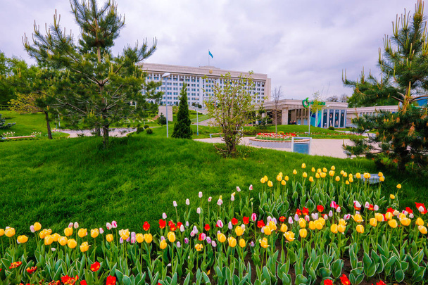 Almaty 'deki yeni meydanda şehrin arka planında lalelerle çiçeklenmiş. - Fotoğraf, Görsel