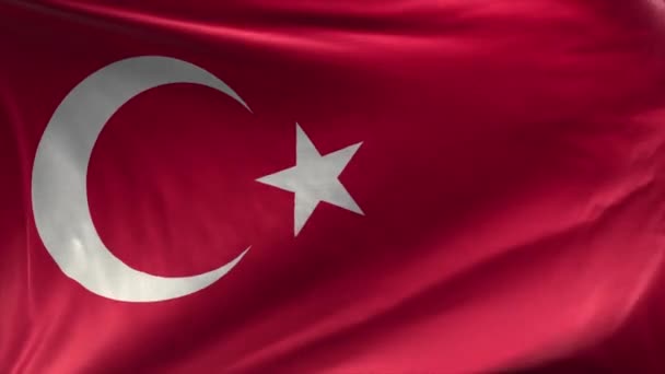 Vlag van Turkije in Loop - Video