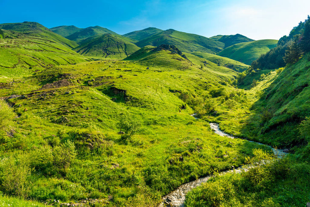 Zöld szelíd hegyek és dombok júniusban, napos Örményország - Fotó, kép