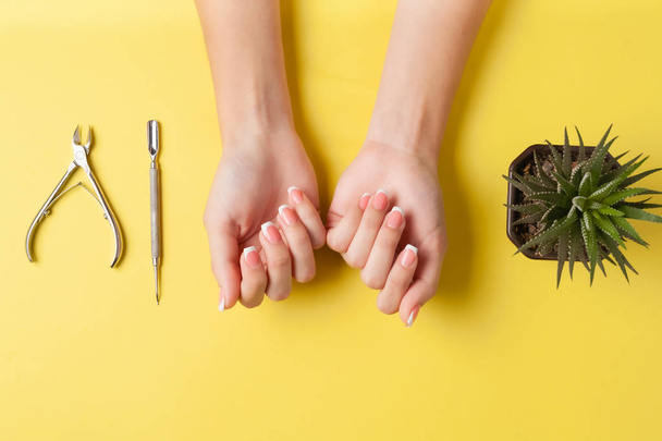 Siisti kaunis ranskalainen manikyyri nuoren naisen käsissä. Työkalu kynsien leikkaamiseen. Minimalismi käsite kynsien hoito
. - Valokuva, kuva