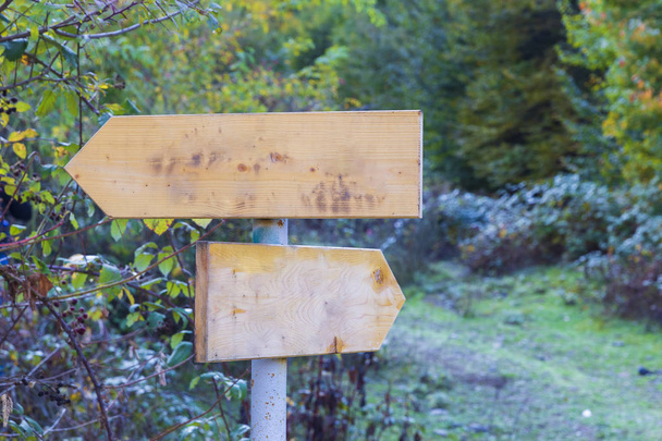 Dřevěné šipky směrové značky v lese na pilíři - Fotografie, Obrázek