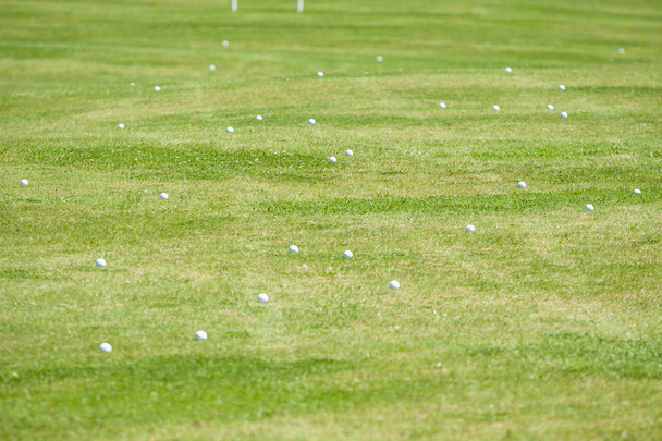 Balls for playing golf on grass - Zdjęcie, obraz