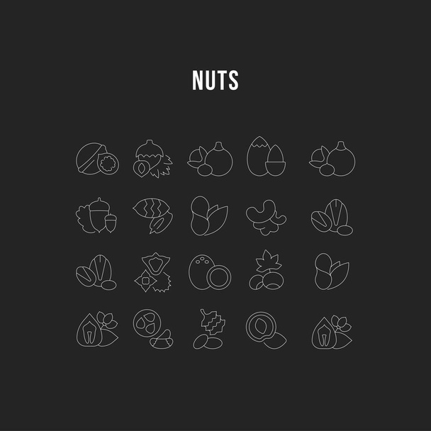 Set Vector Flat Line Icons of Nuts - Vector, Image