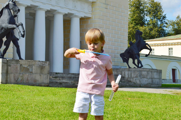 Маленький хлопчик грає з мильними бульбашками в літньому парку
. - Фото, зображення