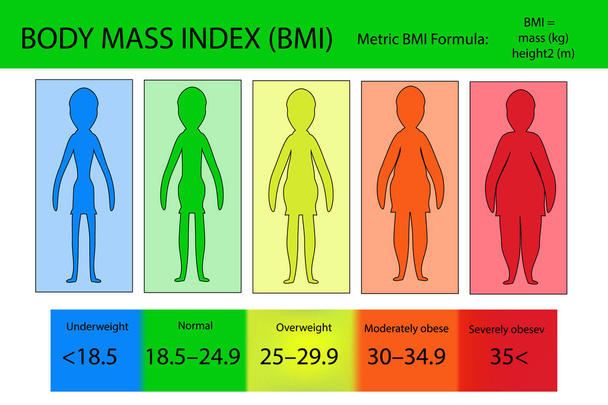 Body-Mass-Index-Vektor von untergewichtig bis extrem fettleibig. Frauensilhouetten mit unterschiedlichen Fettleibigkeitsgraden. - Vektor, Bild