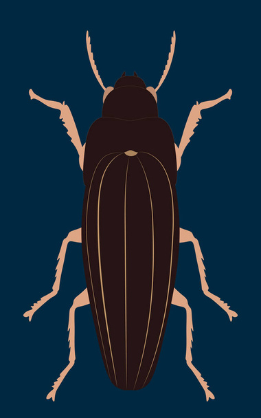 ilustração plana de bug. símbolo de sinal de bug. Impressão gráfica
 - Foto, Imagem