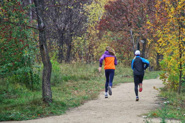 Молодые девушки тренируются на пробежке в аллее осеннего парка. Ac
 - Фото, изображение