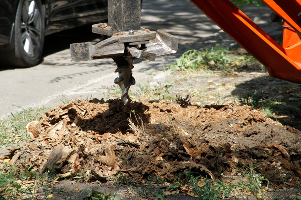 ein scharfer Drehbohrer zum Zerkleinern und Entwurzeln alter Baumstümpfe. im - Foto, Bild
