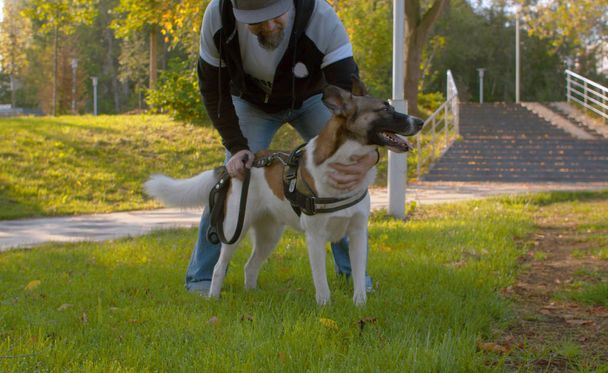 Hombre de mediana edad con el perro en el parque
 - Foto, imagen