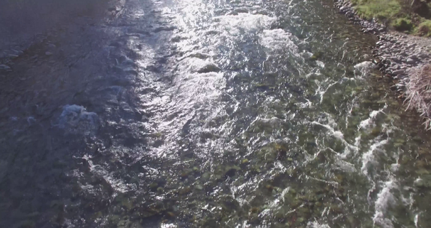 Low altitude flight over fresh fast mountain river with rocks at sunny summer morning. - Video, Çekim