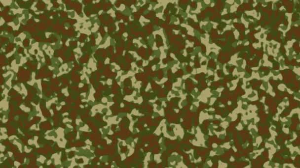 militärische Camouflage-Effekt Muster Hintergrund - Filmmaterial, Video