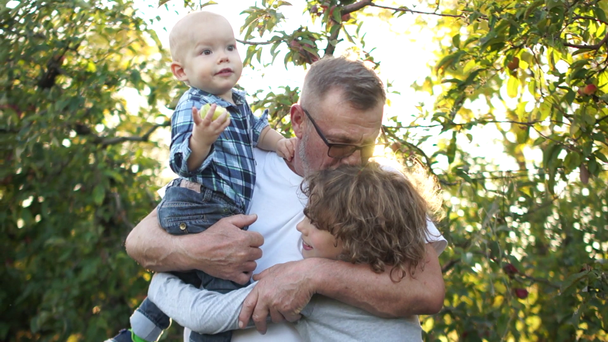 Mały chłopiec z bratem i dziadkiem jedzący jesienią jabłka w sadzie. Dziadek i wnuki, szczęśliwe dzieciństwo - Materiał filmowy, wideo