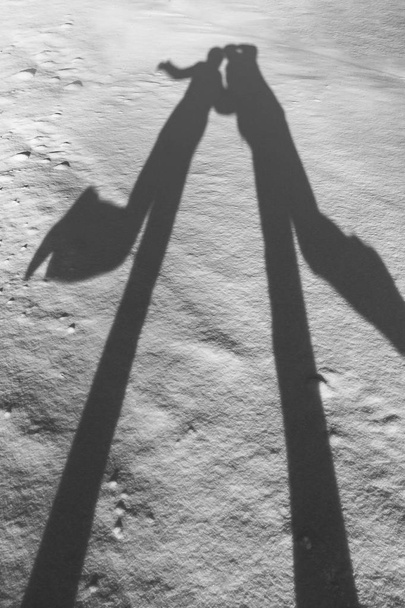 Foto em preto e branco de longas sombras cinzentas na neve branca de um jovem casal no amor homem e mulher no inverno
 - Foto, Imagem