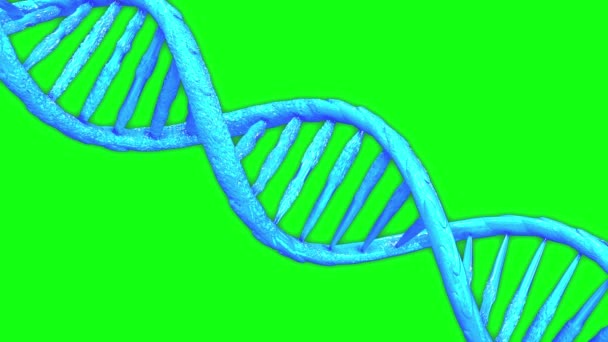 DNA animation πράσινη οθόνη animation, έλικα animation dna 3d 4k πράσινη οθόνη 3d 4k έλικα 3d 4k, DNA γενετική πράσινη οθόνη γενετική έλικα γενετικό χρωμόσωμα DNA, πράσινη οθόνη χρωμόσωμα έλικα χρωμόσωμα - Πλάνα, βίντεο