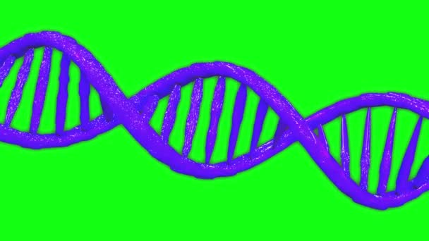 DNA animasyonu yeşil ekran animasyonu, sarmal animasyonu DNA 3d yeşil ekran 3d 4k sarmal 3d 4k, DNA genetik yeşil ekran genetik sarmal genetik DNA kromozomu, yeşil ekran sarmal kromozomu - Video, Çekim