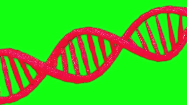 DNS animáció zöld képernyő animáció, helix animáció DNS 3d 4k zöld képernyő 3d 4k helix 3d 4k, DNS genetikai zöld képernyő genetikai helix genetikai DNS kromoszóma, zöld képernyő kromoszóma helix kromoszóma - Felvétel, videó