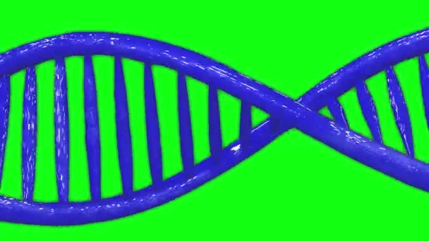 animación de ADN animación de pantalla verde, animación de hélice dna 3d 4k pantalla verde 3d 4k hélice 3d 4k, ADN genético pantalla verde genético hélice genético ADN cromosoma, cromosoma de hélice cromosoma de pantalla verde
 - Metraje, vídeo