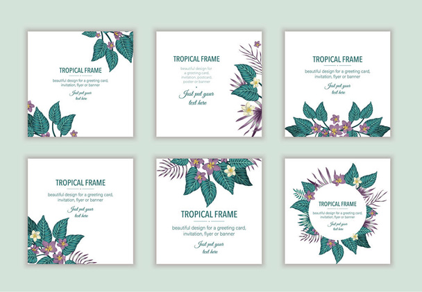 Conjunto de plantillas de marco tropical cuadrado con hojas y flores
.  - Vector, imagen