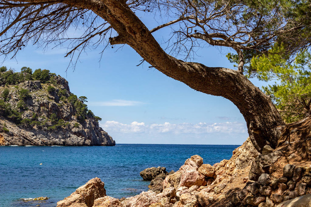 Pohled na pobřeží v zátoce Cala Tuent na baleárském ostrově Mallorca, Španělsko za slunečného dne s průzračnou modrou vodou a skalnatým pobřežím - Fotografie, Obrázek