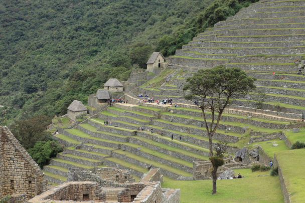 Machu picchu de verborgen stad van de inca in de andes - Foto, afbeelding