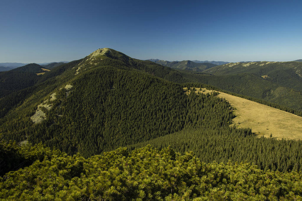 góralski samotny szczyt turystycznym Karpaty góry na Ukrainie podróży koncepcja stylu życia krajobraz fotografia   - Zdjęcie, obraz