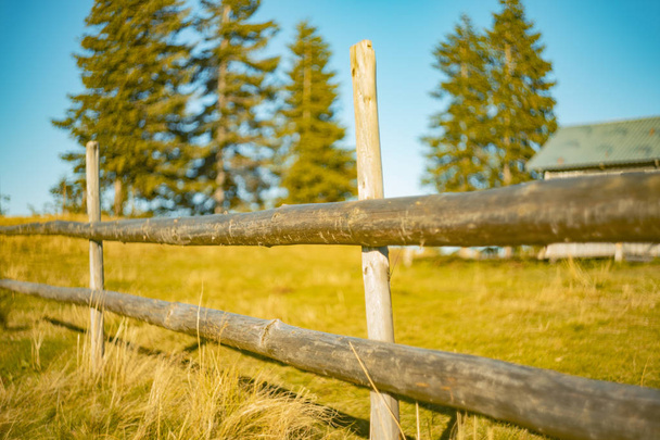 zachte focus rustieke landelijke houten polisade hek grondgebied van hoogland paddock met niet gerichte bokeh effect bomen achtergrond  - Foto, afbeelding