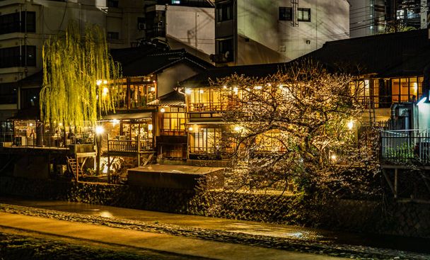City and cherry tree of Kyoto Pontocho - 写真・画像