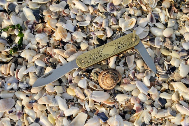 Folding antique knife bronze handle on the beach sun marine conch background - Foto, afbeelding