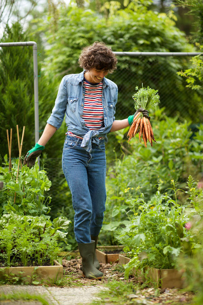 Full length portrait happy gardener holding carrots from garden - Фото, зображення