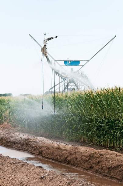 Center pivot irrigation of a cornfield in rural Colorado - 写真・画像