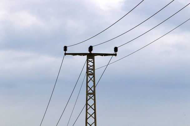 Electric wires on a pole along which electricity flows. Birds sit on electric wires  - Foto, immagini