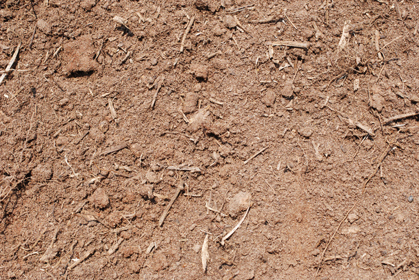 Dirt Background - Photo, Image