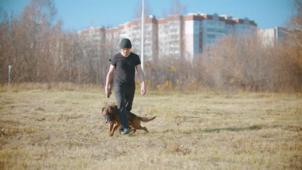 Мужчина тренирует свою немецкую овчарку - собаку, идущую между ног тренера
 - Кадры, видео