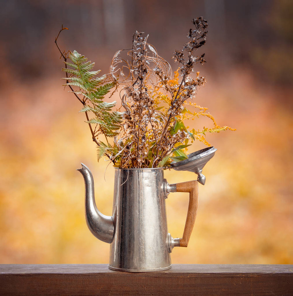 Strauß trockener Pflanzen in einer Kaffeekanne vor dem Hintergrund des Herbstwaldes - Foto, Bild