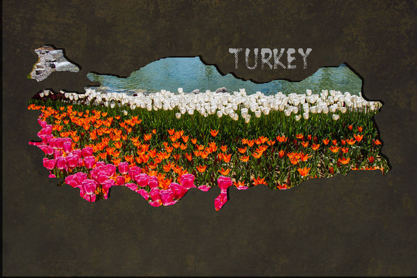 Zhruba ohraničené Mapa Turecka s Tulipán zahradní náplň - Fotografie, Obrázek
