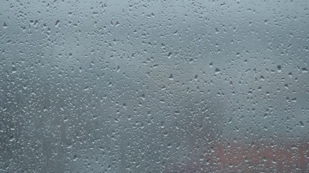 Rain drops on window - Footage, Video