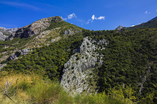 Stari Bar (Old Bar), Montenegro, the different view of suburb nature, mountains, forests  - 写真・画像