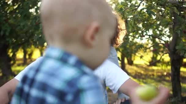 Torunlar ve büyükbaba elma bahçesinde eğleniyor. Kırsal alan, mutlu aile, günbatımı ve mercek parıltısı - Video, Çekim