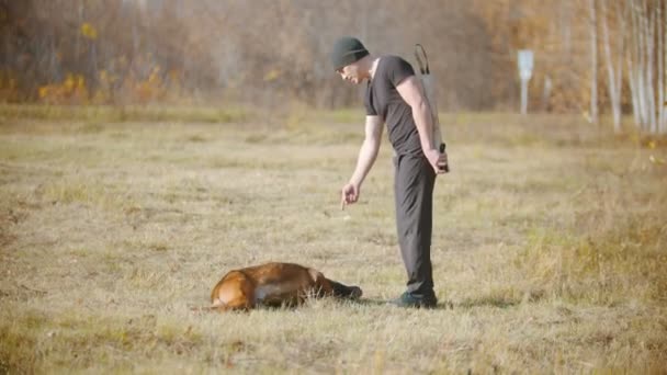 Egy férfi tanítja a német juhászkutyáját, hogy megforduljon. - Felvétel, videó
